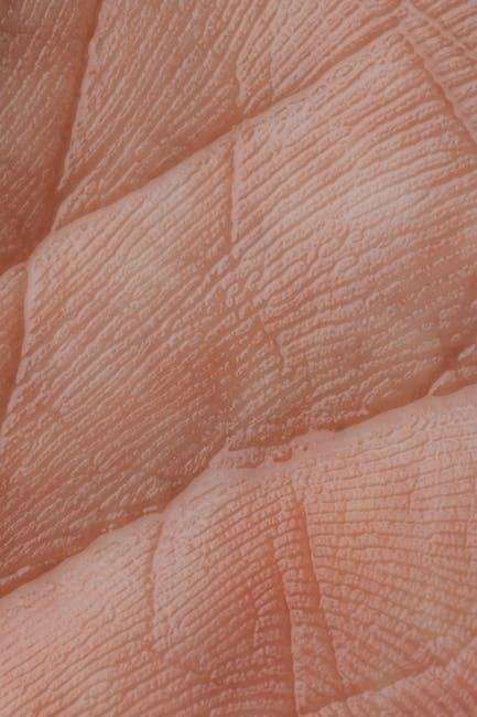 Layering for Success: The Science Behind Product Application