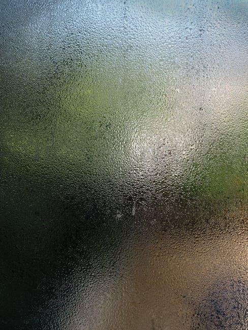 Embracing Humidity: Creating a Conducive Habitat for Skin Health