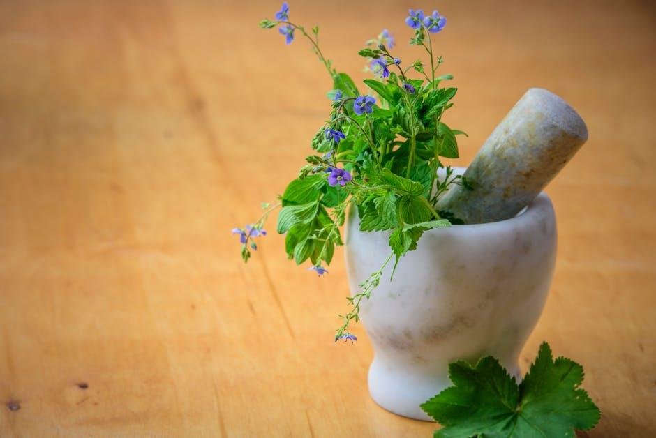 Natural Ingredients for Soothing Irritated Complexions