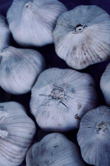 Beyond Topicals: how Diet‌ and Lifestyle Influence Antioxidant Efficacy