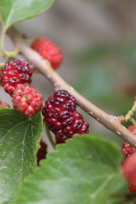 Understanding⁤ Antioxidants⁣ and Their Skin Benefits